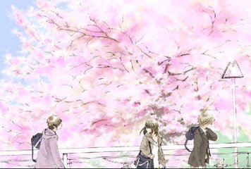 缅北视频
